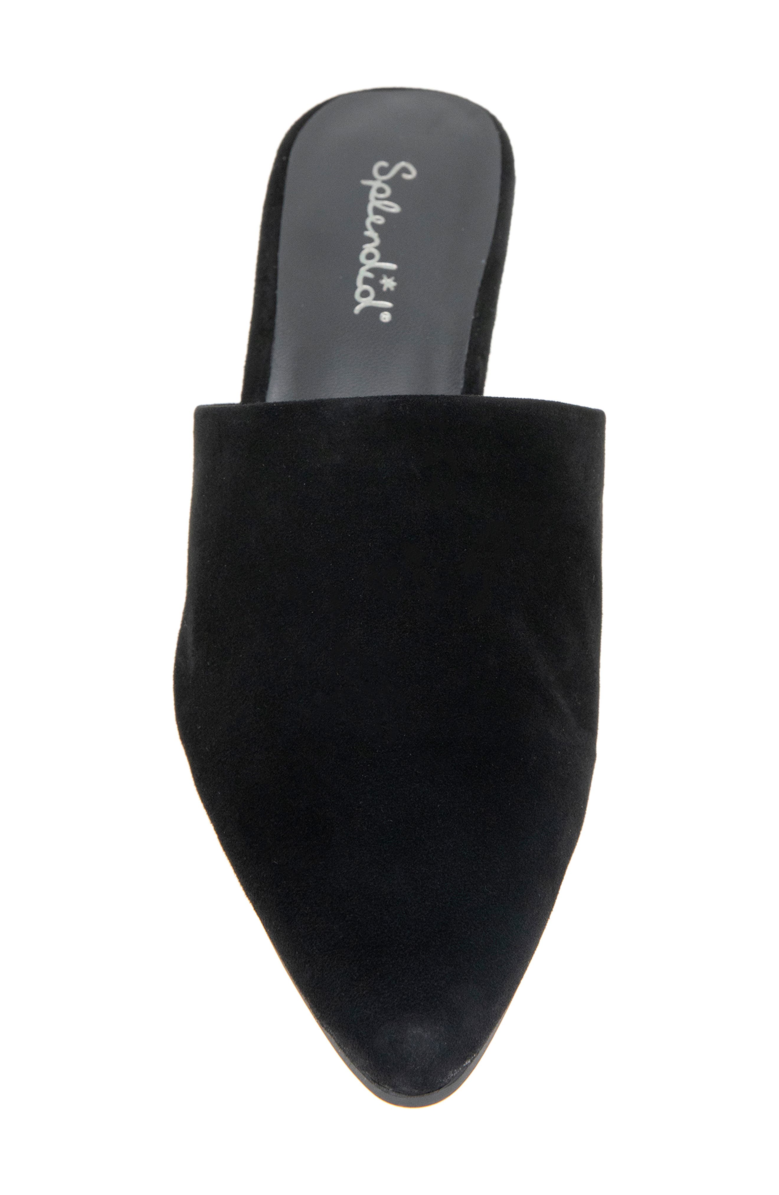 Splendid Laylai Pointed Toe Mule, Alternate, color, Black