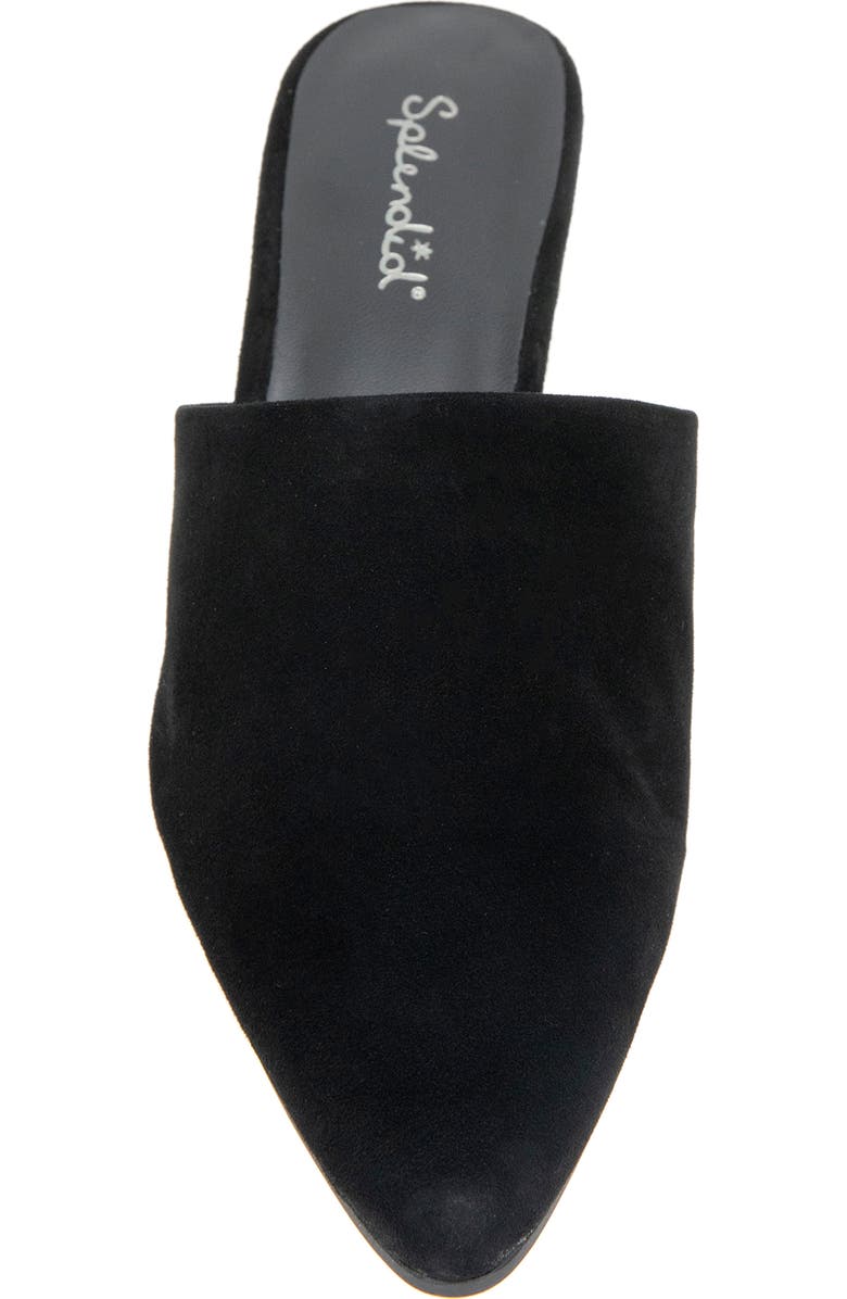 Splendid Laylai Pointed Toe Mule, Alternate, color, Black