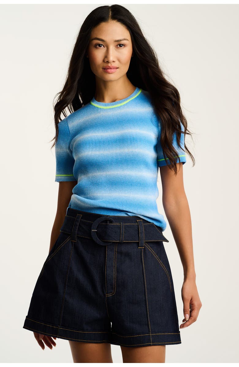 Lisa Todd Fade In Rib Knit, Alternate, color, Blue Burst