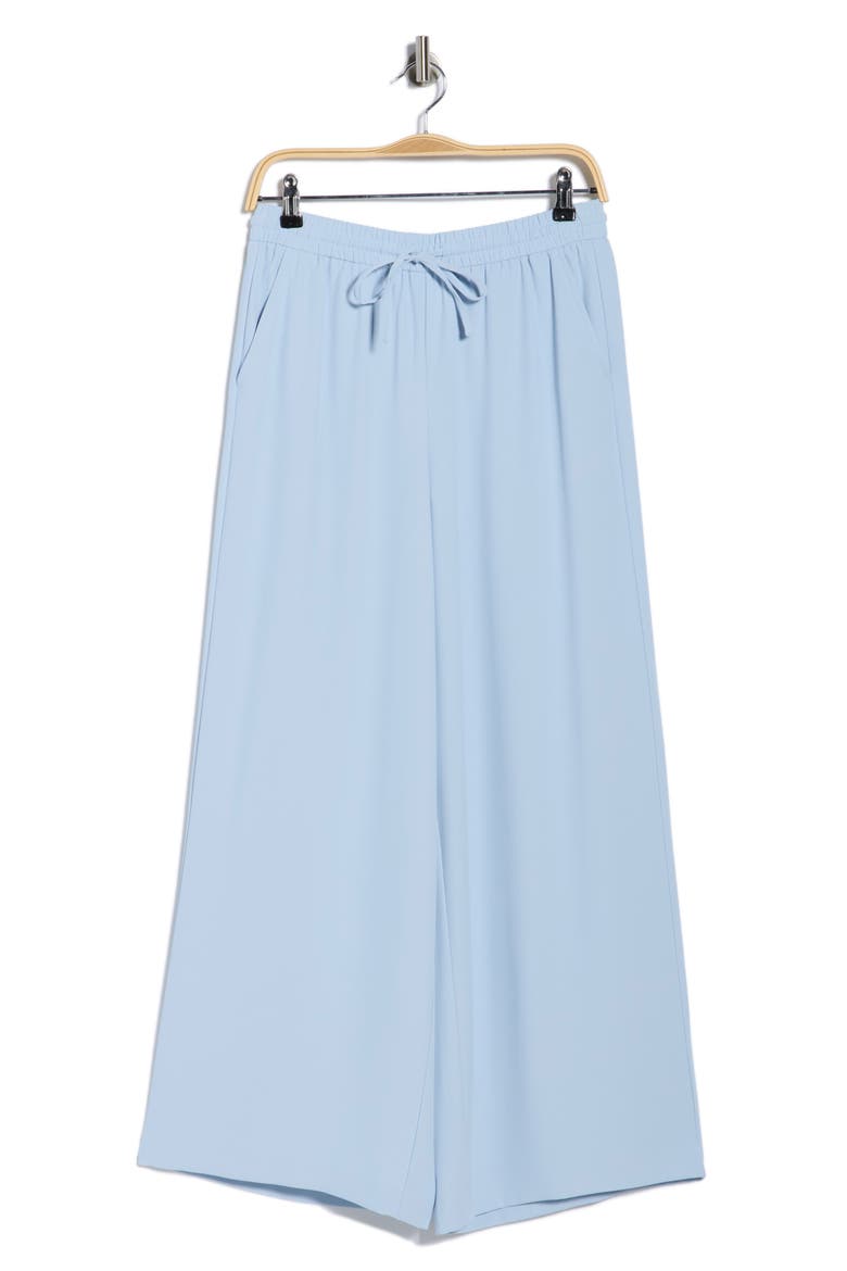Wide Leg Pull-On Pants, Alternate, color, BLUE AURA