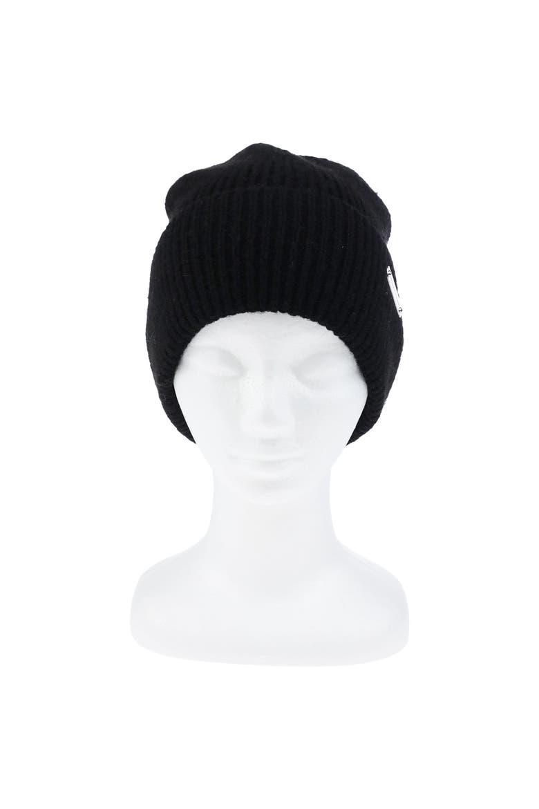Rib Knit Cuff Beanie, Alternate, color, BLACK