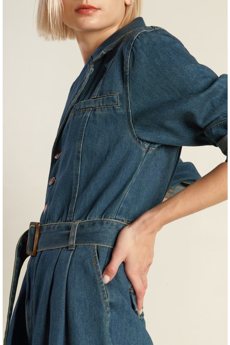 Long Sleeve Denim Jumpsuit, Alternate, color, INDIGO DENIM