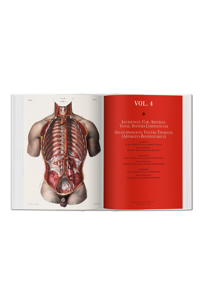 Bourgery Atlas of Human Anatomy and Surgery English French German Book, Alternate, color, multicolor