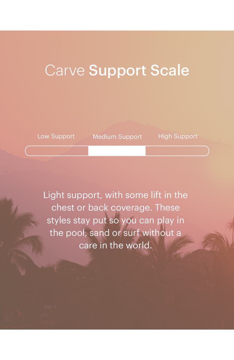 Carve Designs Rio Compression Tankini, Alternate, color, Navy