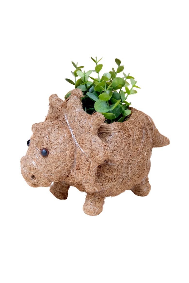 Dinosaur Coco Coir Planters, Alternate, color, Brown Baby Triceratops