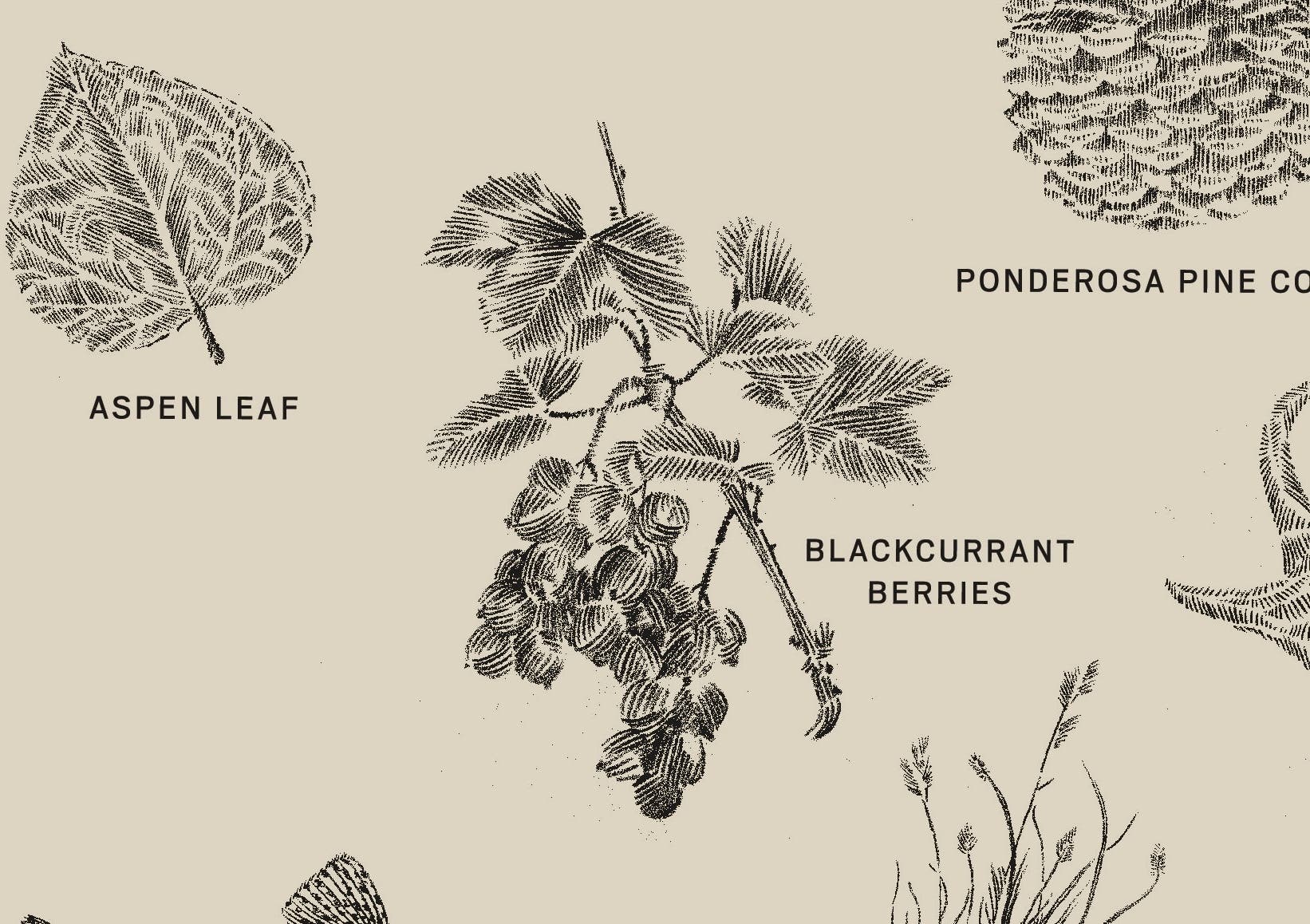 United By Blue The Packable Tote, Alternate, color, Off White