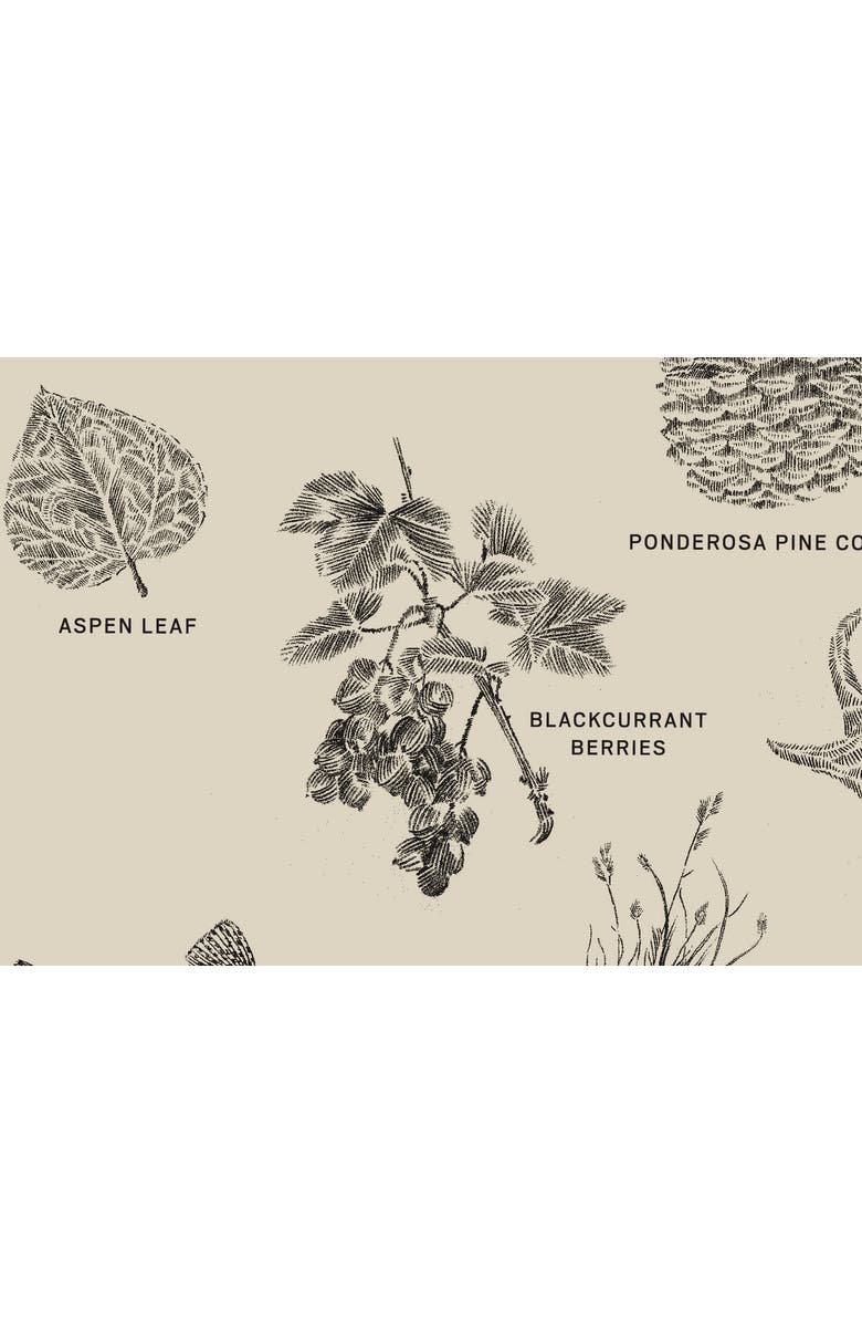 United By Blue The Packable Tote, Alternate, color, Off White