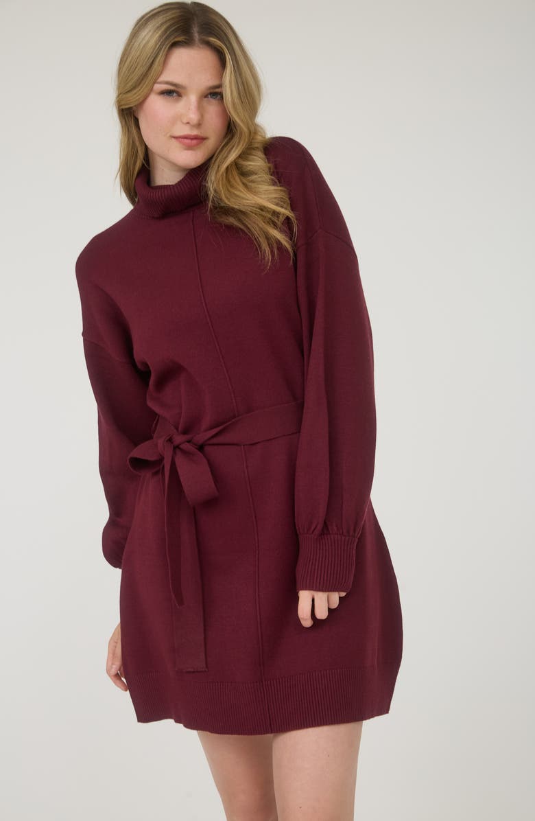 AUGUST SKY Long Sleeve Turtleneck Sweater Minidress, Alternate, color, Red Wood