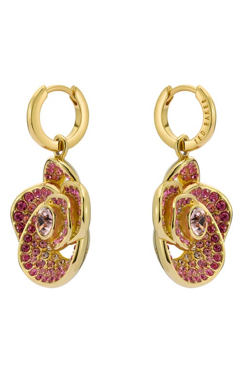 Ted Baker Florence Crystal Flower Huggie Earrings In Gold Tone Pink Ombre Crystal