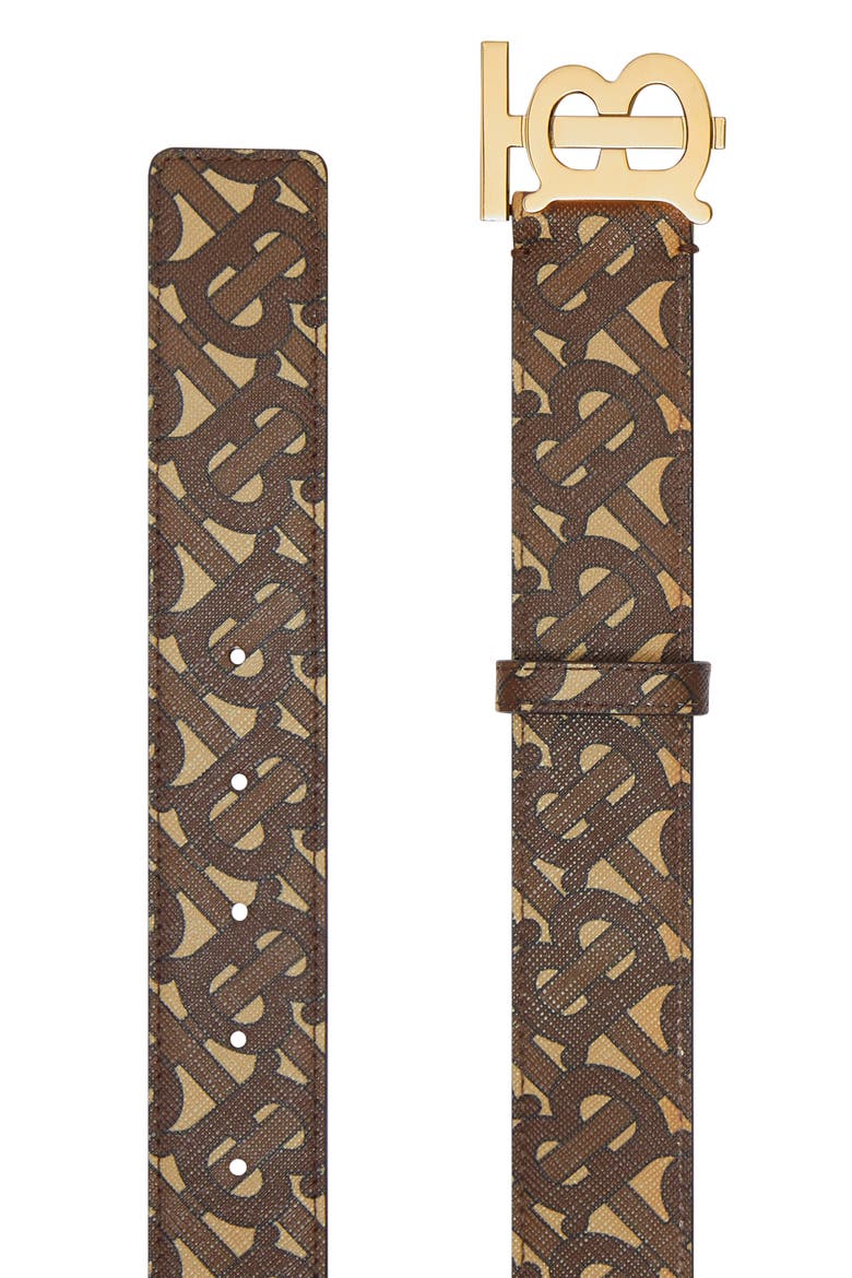 Monogram Stripe E-Canvas & Leather Belt, Alternate, color, BRIDLE BROWN