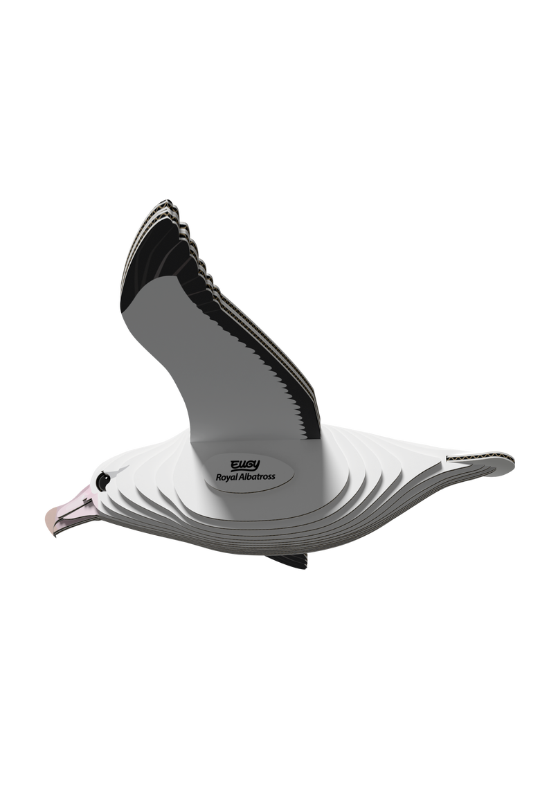 Royal Albatross 3D Puzzle, Alternate, color, No Color