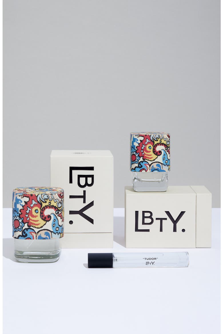Tudor Eau de Parfum, Alternate, color, NO COLOR