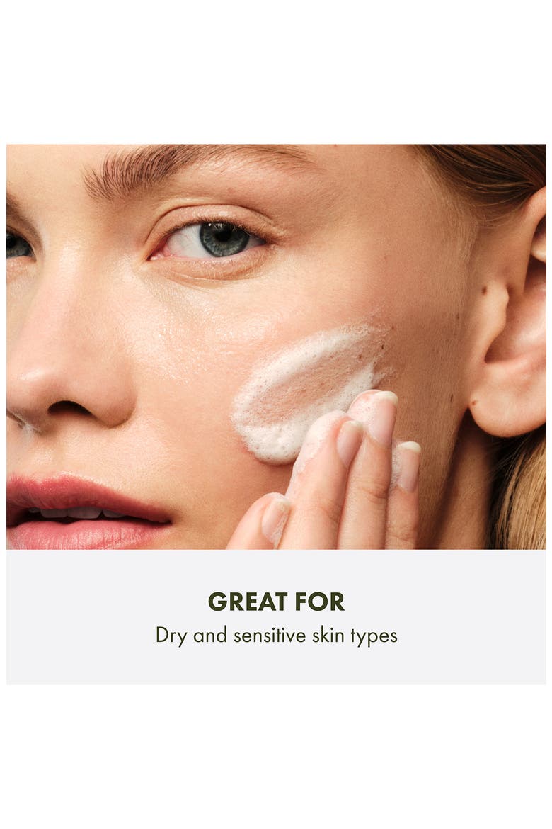 Checks and Balances Gentle Foaming Face Wash, Alternate, color, NO COLOR