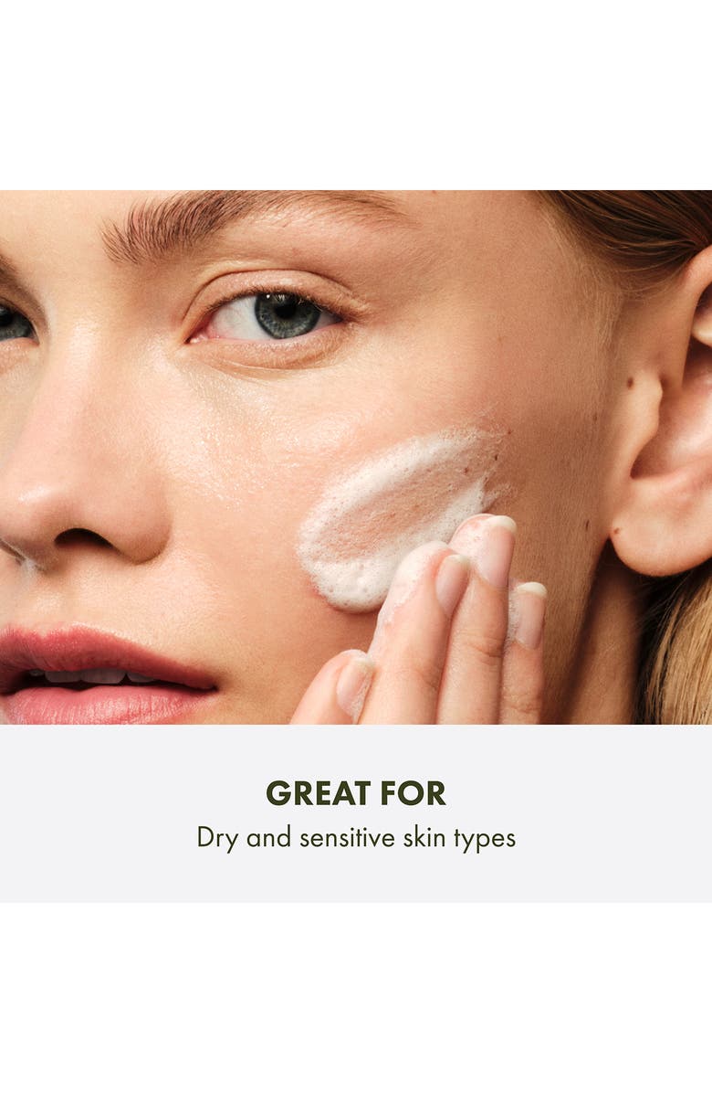 Origins Checks and Balances Gentle Foaming Face Wash, Alternate, color,