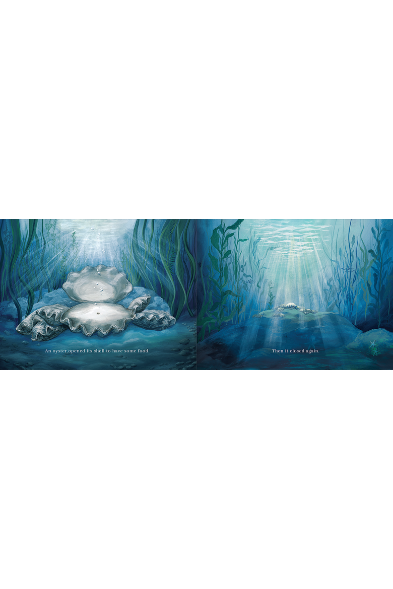 A Sand Story Book, Alternate, color, Seashells