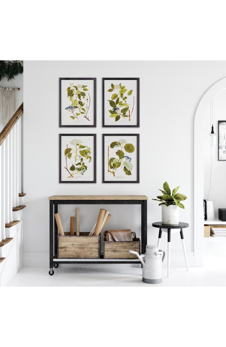 Napa Home & Garden 17.75"W x 0.75"D x 23.5"H Floral And Berry Study Framed Wall Art Frame Set of 4, Alternate, color, Black