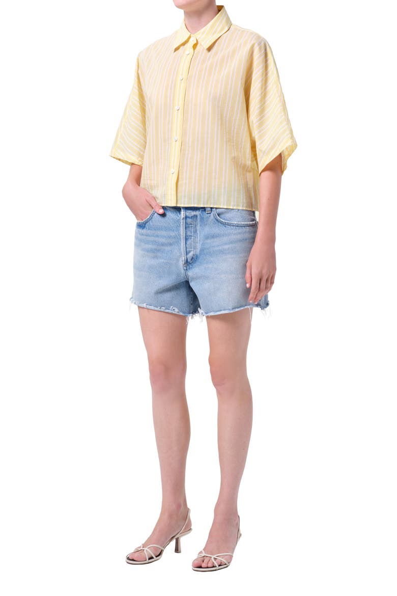 Merrin Stripe Boxy Cotton & Nylon Poplin Button-Up Shirt, Alternate, color, WIRREL STRIPE