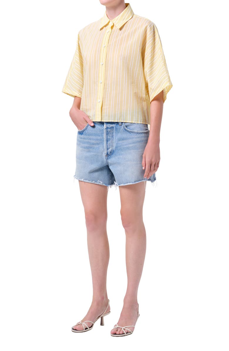 AGOLDE Merrin Stripe Boxy Cotton & Nylon Poplin Button-Up Shirt, Alternate, color, Wirrel Stripe