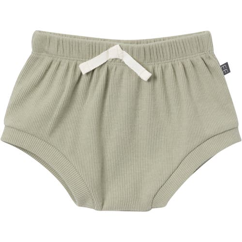 Modern Moments™ By Gerber Bodysuits & Shorts 4-pack Set In Ivory Mini Island/md Green