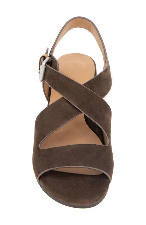 Gentle Souls Mela Crisscross Sandal In Brown