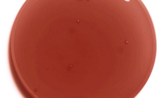 selected 062 BRONZED GLOW