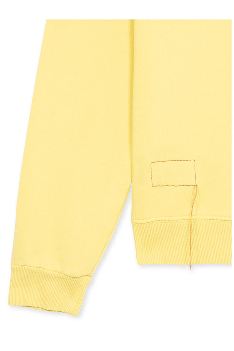 Zip-Up Sweatshirt with Pocket, Alternate, color, CANARY