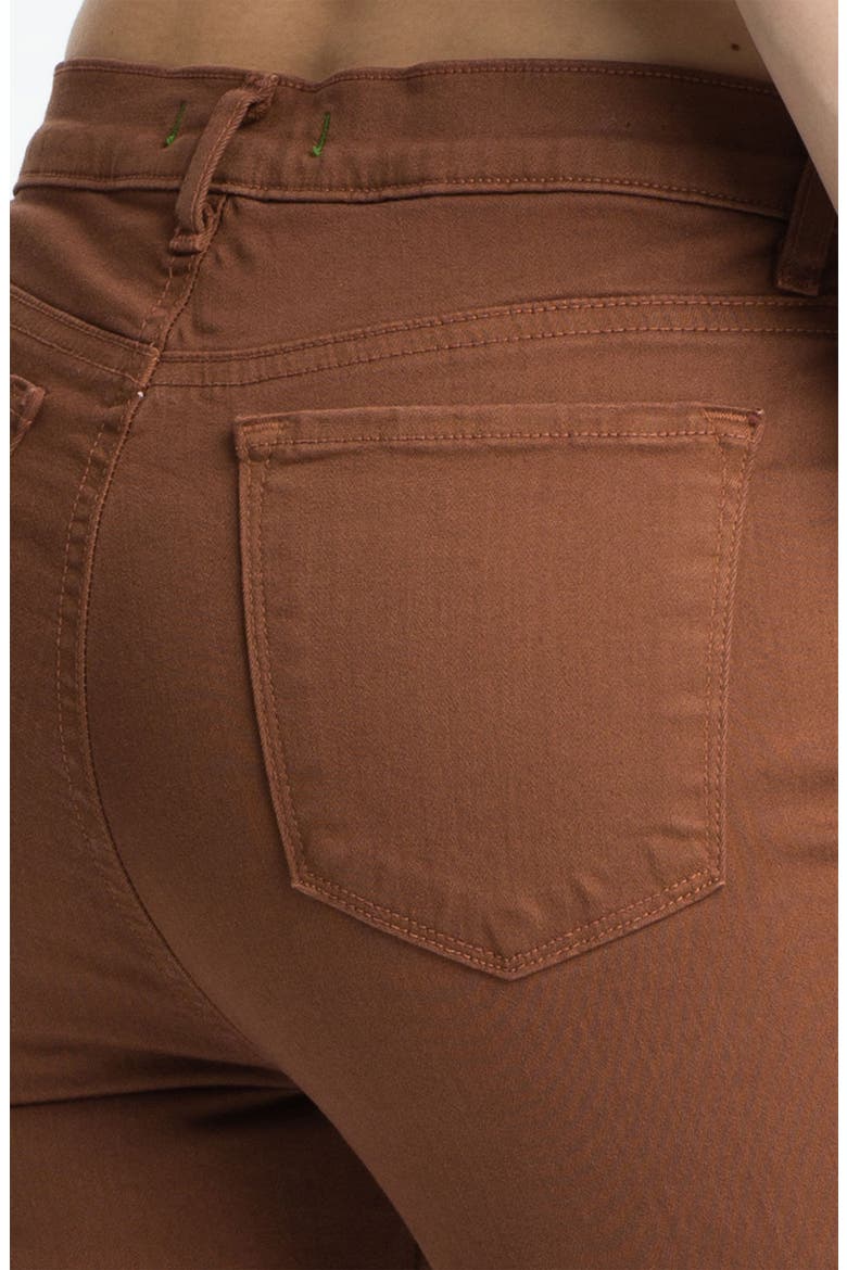 'Maria' High Rise Skinny Stretch Jeans, Alternate, color, BOURBON