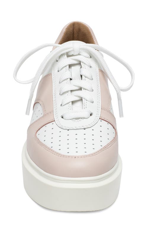 Linea Paolo Kayleen Sneaker In Eggshell/pale Pink