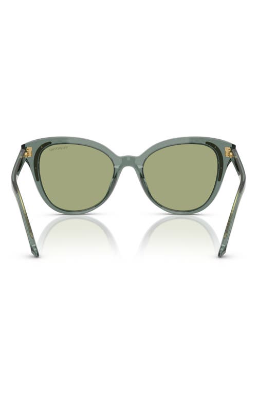 Swarovski 53mm Butterfly Sunglasses In Transparent Green/dark Green