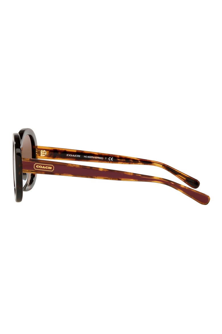52mm Gradient Oval Sunglasses, Alternate, color, DK TORT