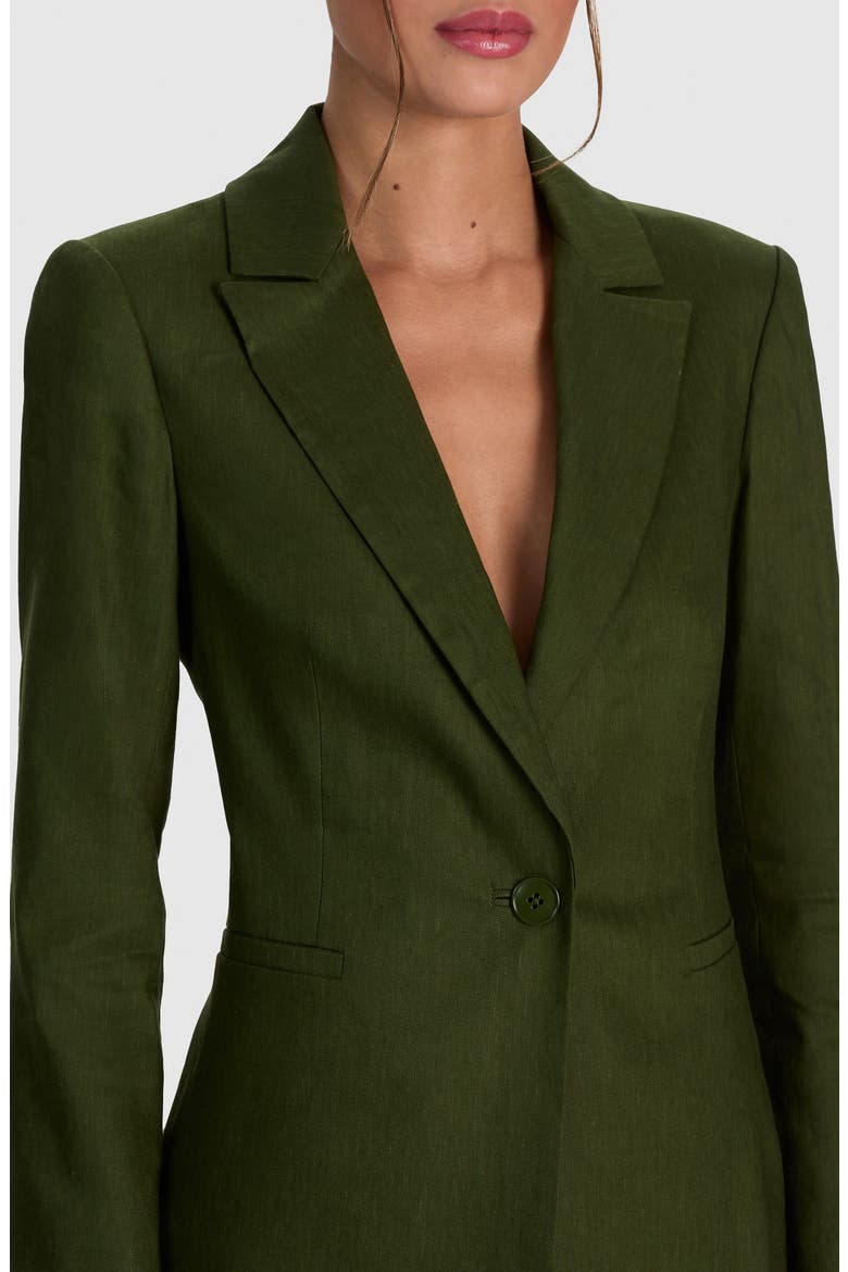 Breann Long Fitted Blazer, Alternate, color, DARK FERN