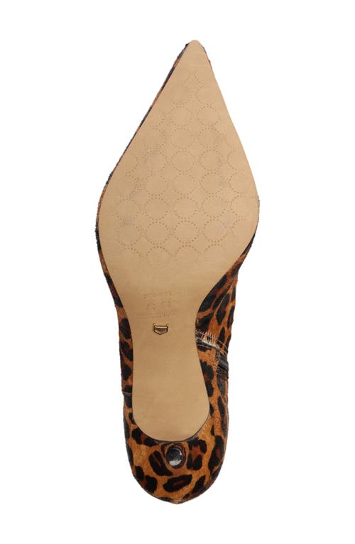 Arezzo Sasha Pointed Toe Knee High Boot In Multi