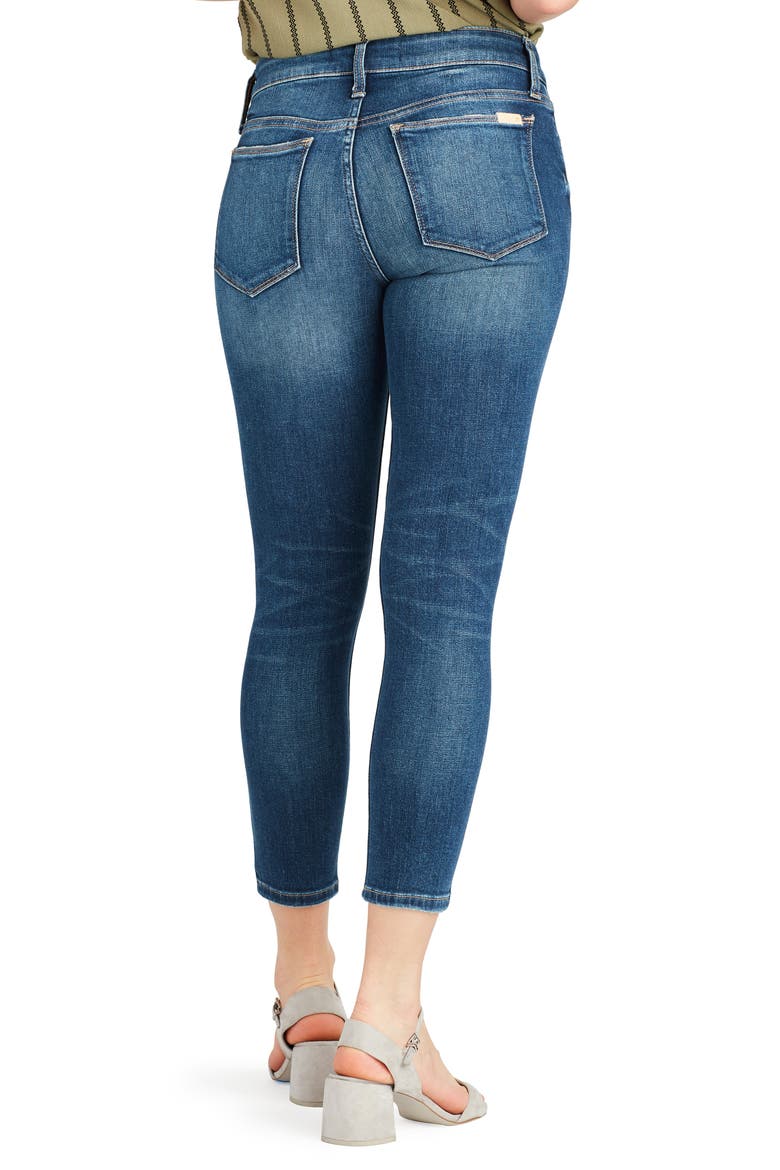 Icon Crop Skinny Jeans, Alternate, color, SIVAN
