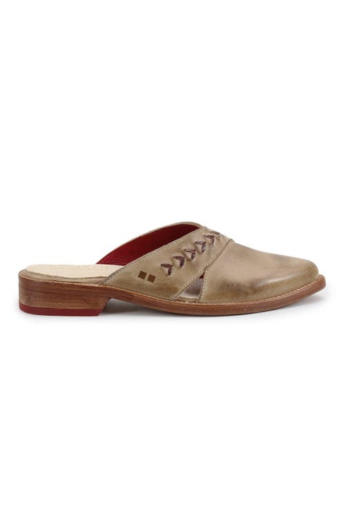 Bed Stu Jockey Pointed-toe Mule In Animal Print