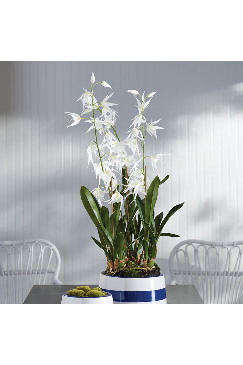 Spider Orchid Drop-In 44", Alternate, color, White