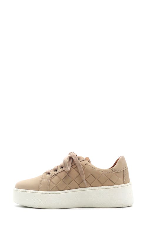 Gentle Souls Kindy Platform Sneaker In Brown