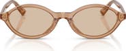 Jimmy Choo 51mm Oval Sunglasses