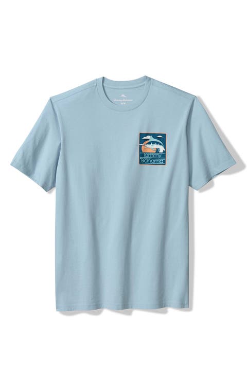 Marlin View Cotton Graphic T-Shirt (Regular & Big)