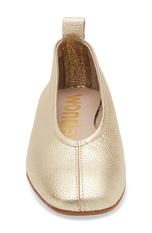 Wonders Ballet Flat In Max Platino