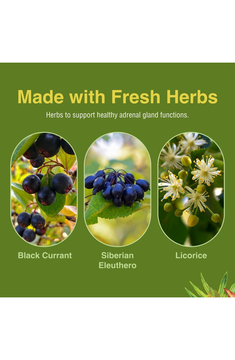 Herbs Etc. Adrenotonic Herbal Adrenal & Energy Support Softgels, 60 Count, Alternate, color, NO COLOR