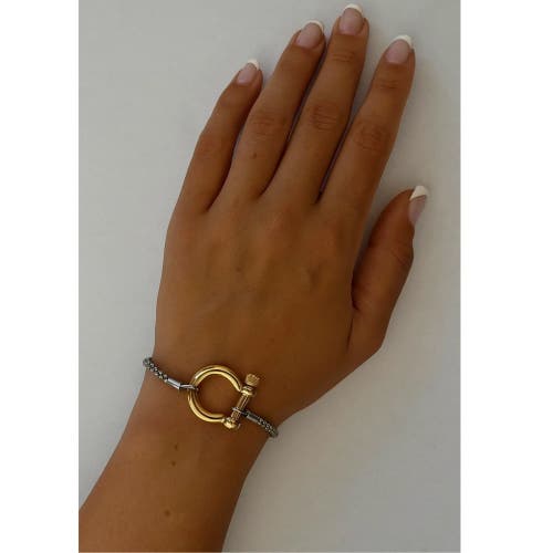 Hollywood Sensation The Lucky Lock Horseshoe Carabiner Clasp Bracelet In Gold