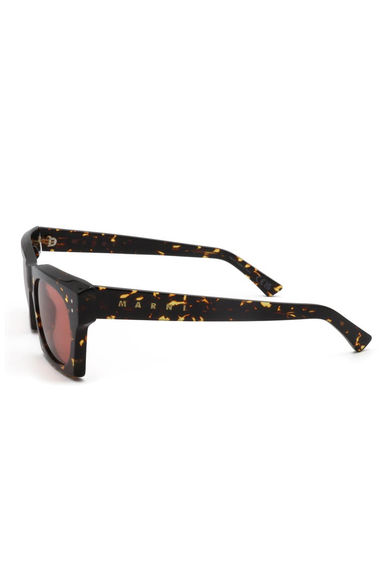 52mm Square Sunglasses, Alternate, color, HAVANA MACULATA / BROWN