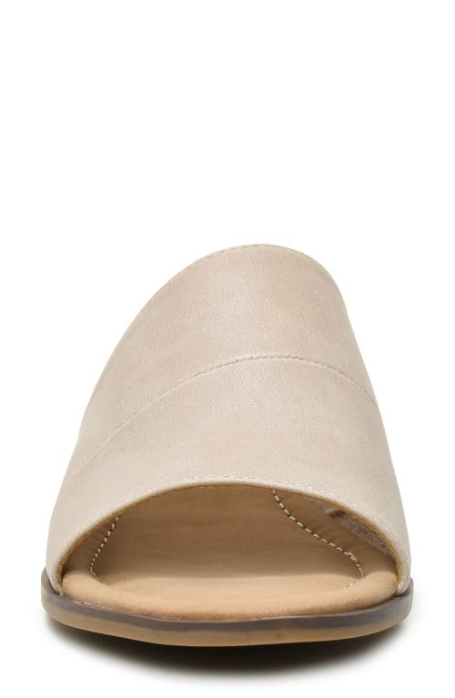 CATHERINE CATHERINE MALANDRINO CATHERINE CATHERINE MALANDRINO DANIELLE SLIDE SANDAL