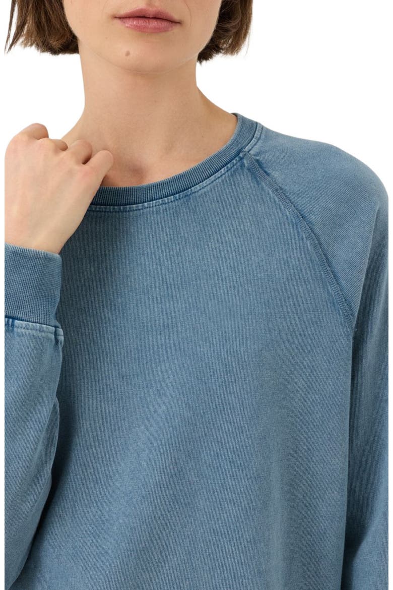 Organic Cotton Weekends Relaxed Raglan Sweatshirt, Alternate, color, Washed Wedgewood Blue
