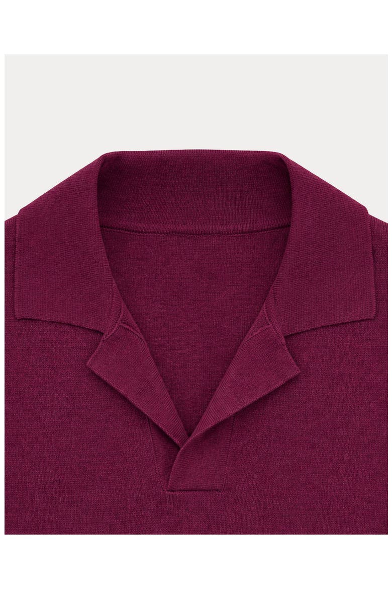 Adrien V-Neck Cotton Polo, Alternate, color, Plum