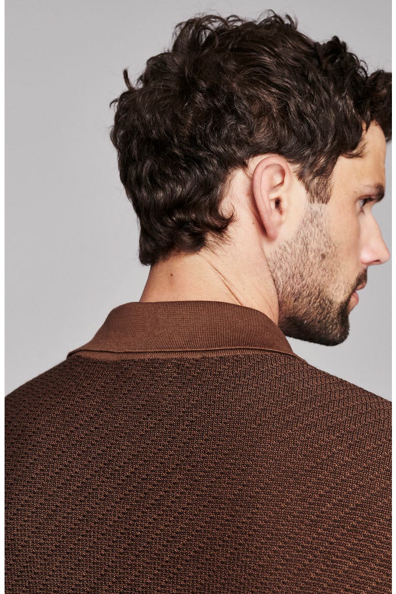 Long Sleeve Sweater Polo, Alternate, color, BROWN MULTI