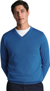 Charles Tyrwhitt Merino V-Neck Sweater