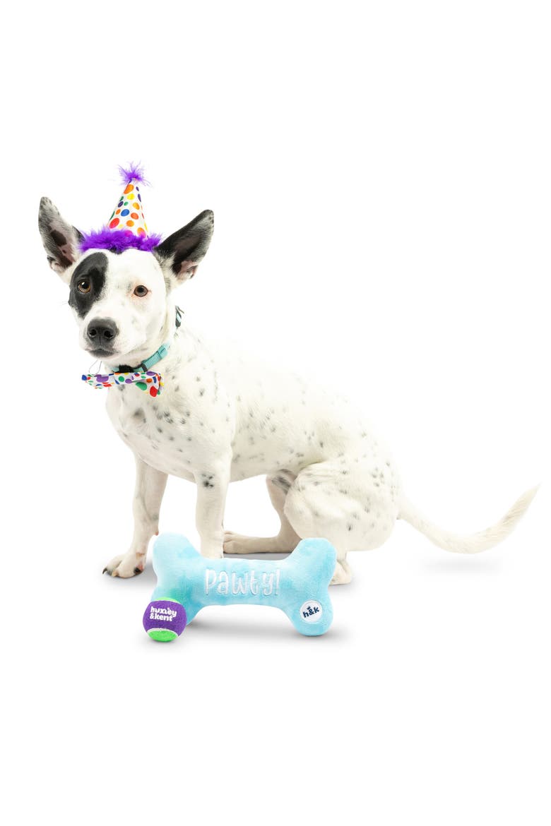 Dog Celebration Box, Alternate, color, PURPLE