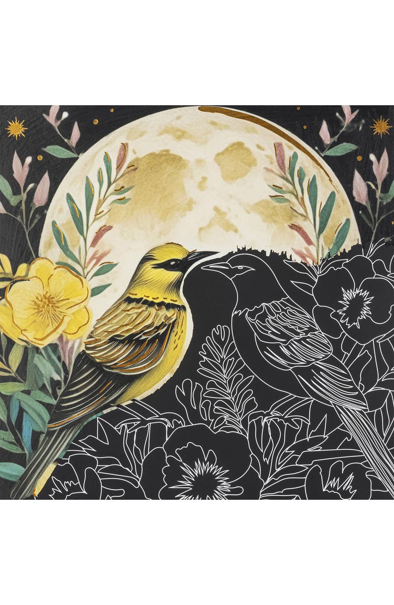 Brea Reese Scratch Art Paper Pad, Midnight Botanicals, Alternate, color, Multicolored