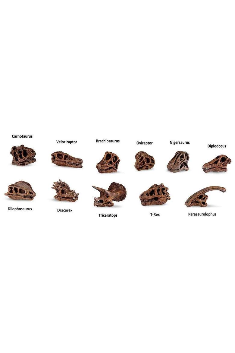 Dinosaur Skulls Toy, Alternate, color, No Color